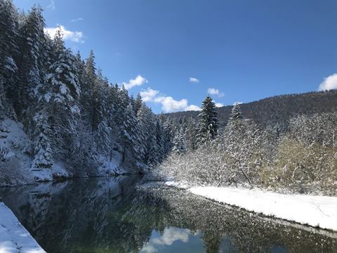 Zimski krajolik: rijeka i šuma prekrivena snijegom